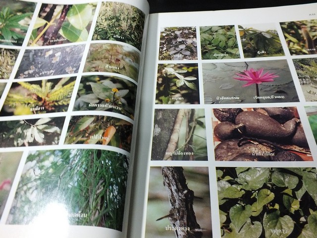 เภสัชกรรมไทย รวมสมุนไพร โดย วุฒิ วุฒิธรรมเวช ปี 2537