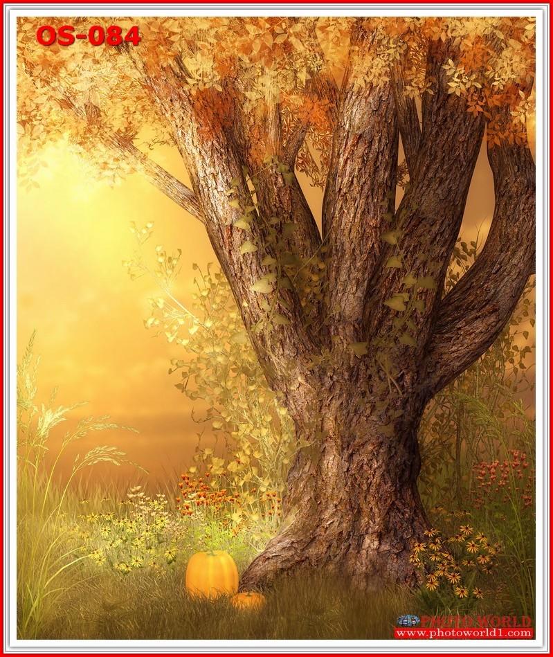 วอลเปเปอร์รูปภาพติดผนังสั่งทำ มีภาพให้เลือกกว่า 50,000 ภาพ ออกแบบกราฟฟิค หรือ รูปภาพตามที่ท่านกำหนด ในสไตล์ท่านเอง "custom made"