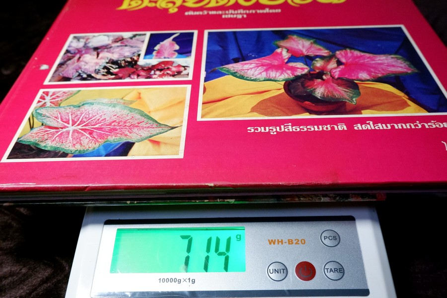 ตะลุยดงบอน โดย เชษฐา ปกเเข็ง 113 หน้า ปี 2524