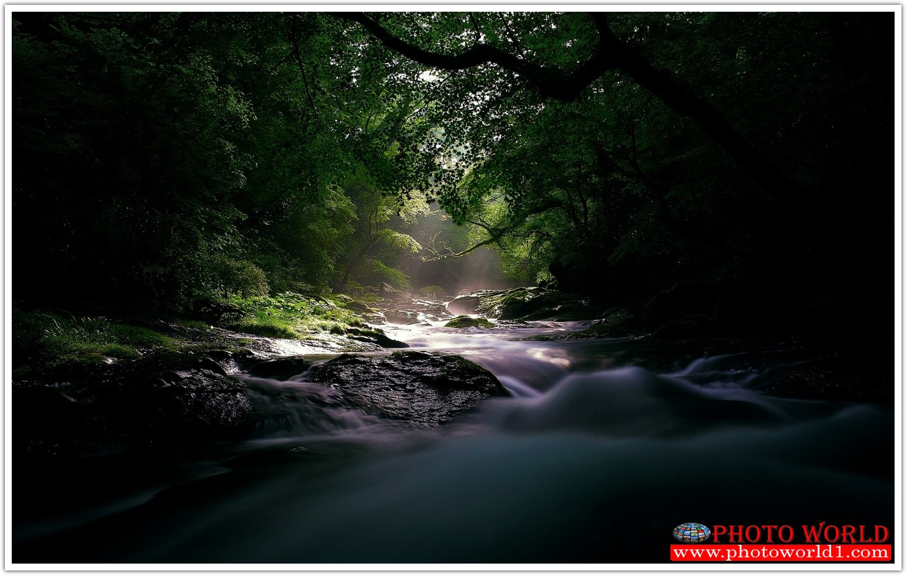 NATURAL วอลเปเปอร์รูปภาพติดผนังสั่งทำ มีภาพให้เลือกกว่า 50,000 ภาพ ออกแบบกราฟฟิค หรือ รูปภาพตามที่ท่านกำหนด ในสไตล์ท่านเอง "custom made"