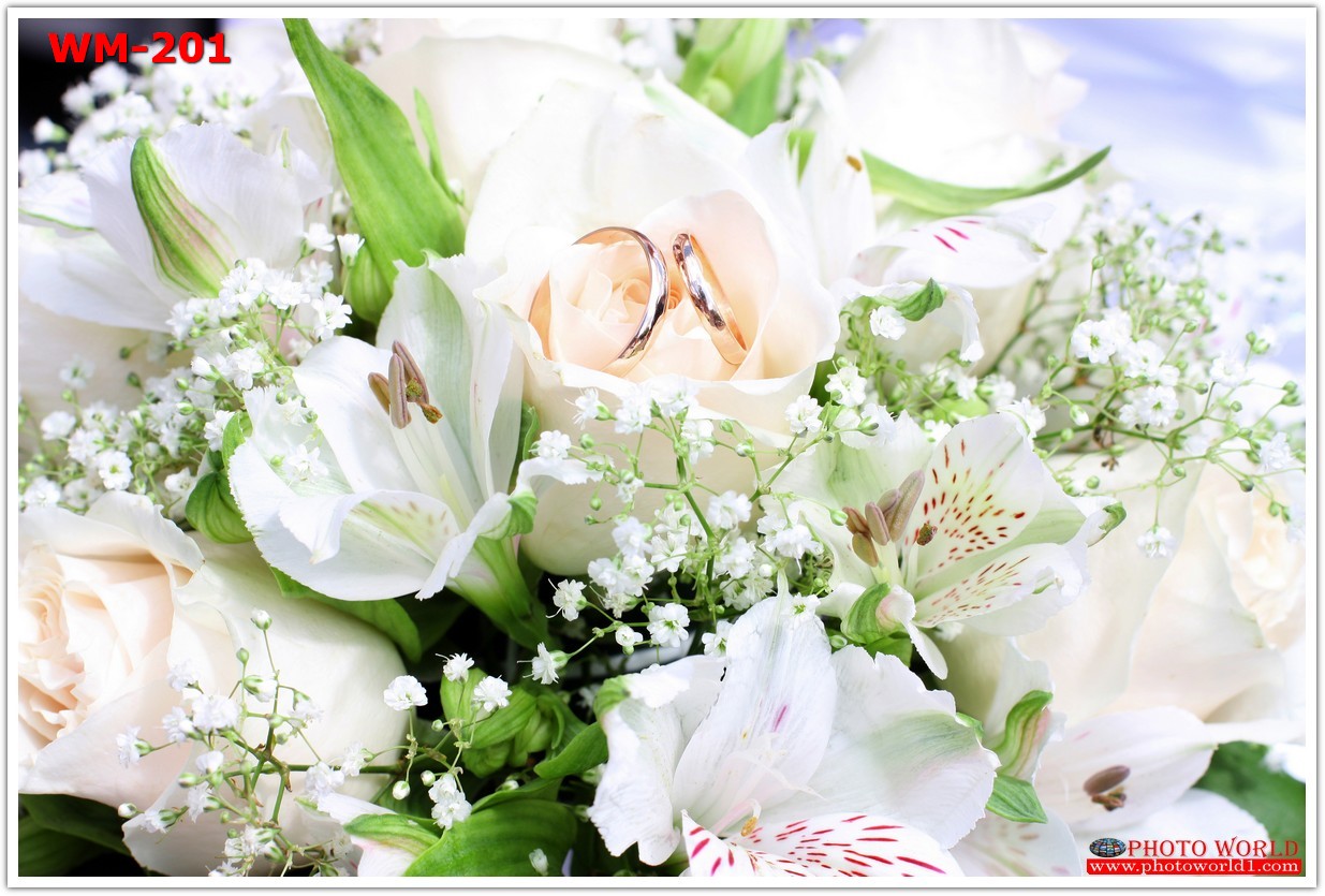 วอลเปเปอร์รูปภาพติดผนังสั่งทำ มีภาพให้เลือกกว่า 50,000 ภาพ ออกแบบกราฟฟิค หรือ รูปภาพตามที่ท่านกำหนด ในสไตล์ท่านเอง "custom made"