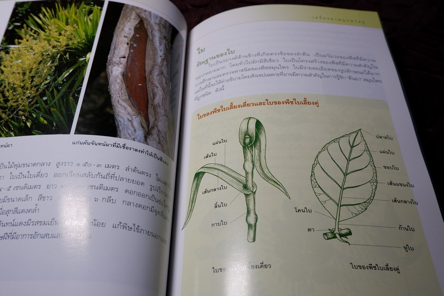 คู่มือเภสัชกรรมเเผนไทย เล่ม 2 เครื่องยาพฤกษวัตถุ พิมพ์ปี 2545