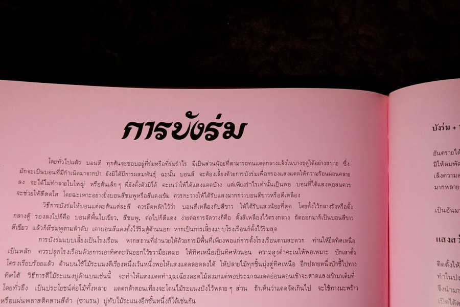 ตะลุยดงบอน โดย เชษฐา ปกเเข็ง 113 หน้า ปี 2524