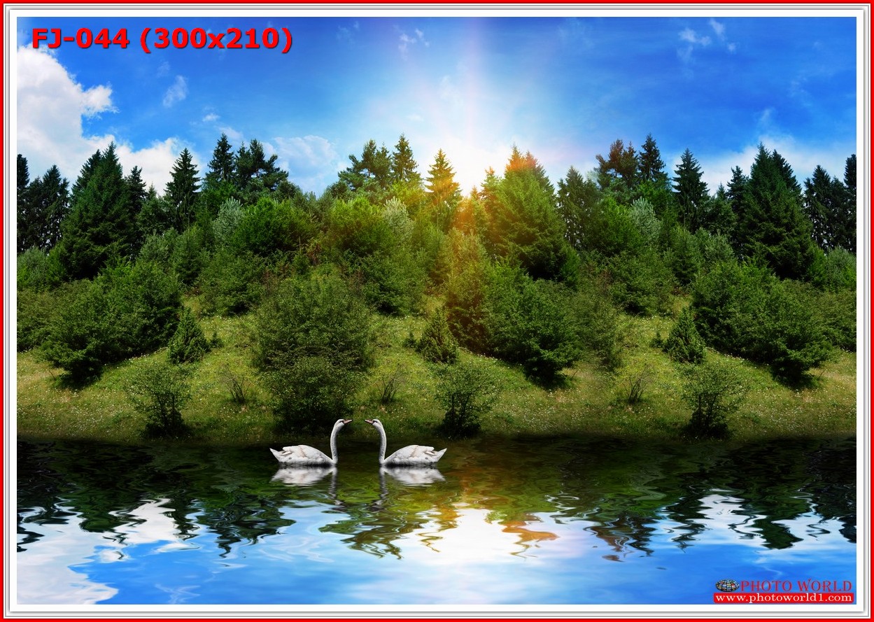 วอลเปเปอร์รูปภาพติดผนังสั่งทำ มีภาพให้เลือกกว่า 50,000 ภาพ ออกแบบกราฟฟิค หรือ รูปภาพตามที่ท่านกำหนด ในสไตล์ท่านเอง "custom made"