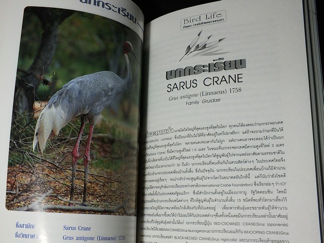 ชีวิตนก bird Life จากบันทึก เเละความทรงจำ โดย สุธี ศุภรัฐวิกร เล่ม 1,2,3 รวม 3 เล่ม ปี 2539-40