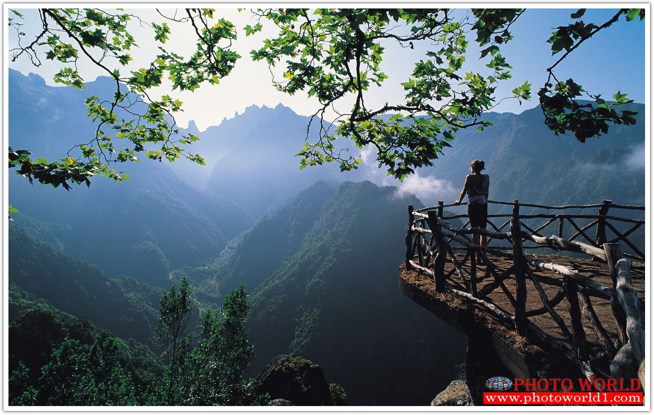 NATURAL วอลเปเปอร์รูปภาพติดผนังสั่งทำ มีภาพให้เลือกกว่า 50,000 ภาพ ออกแบบกราฟฟิค หรือ รูปภาพตามที่ท่านกำหนด ในสไตล์ท่านเอง "custom made"