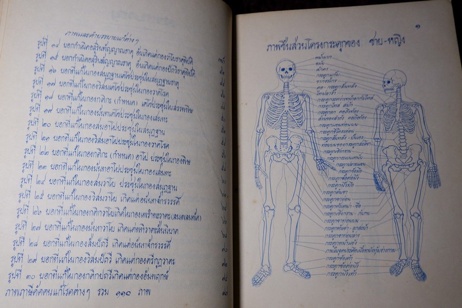 ตำราหมอนวด พระบรมครูเเพทย์ ชีวกโกมารภัจจ์ ฉบับสมบูรณ์ โดย หมอนคร บางยี่ขัน -อ.เชาว์ กสิพันธุ์