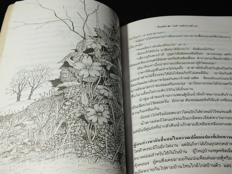 ปีนตลิ่ง โดย รงค์ วงษ์สวรรค์ ปี 2533