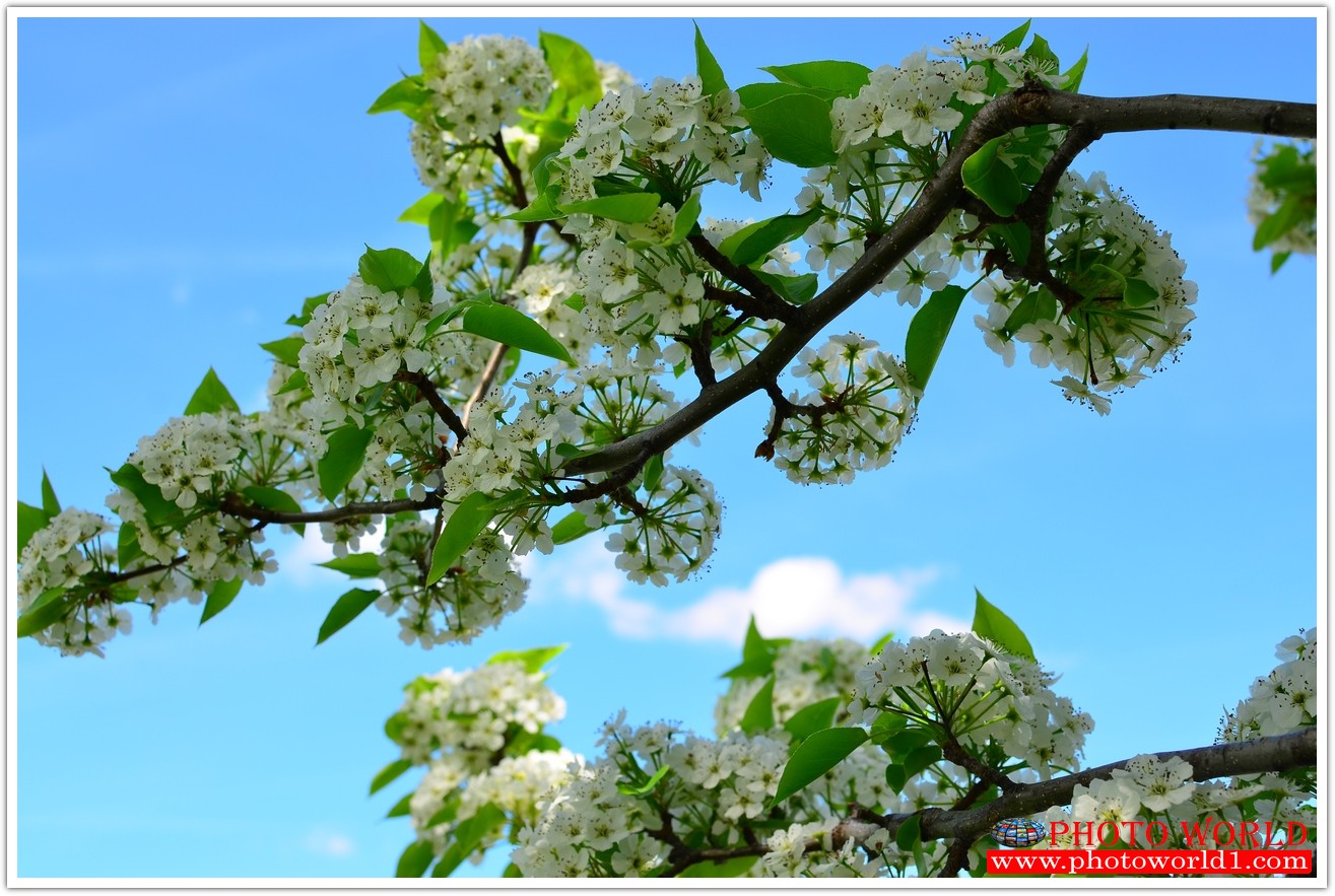 วอลเปเปอร์รูปภาพติดผนังสั่งทำ ภาพติดผนัง มีภาพให้เลือกกว่า 50,000 ภาพ ออกแบบกราฟฟิค หรือ รูปภาพตามที่ท่านกำหนด ในสไตล์ท่านเอง "custom made"