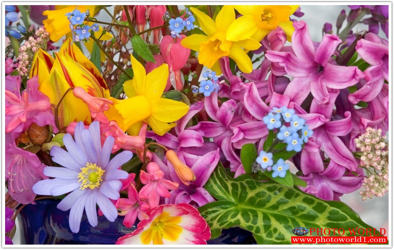 วอลเปเปอร์รูปภาพติดผนังสั่งทำ มีภาพให้เลือกกว่า 50,000 ภาพ ออกแบบกราฟฟิค หรือ รูปภาพตามที่ท่านกำหนด ในสไตล์ท่านเอง "custom made"