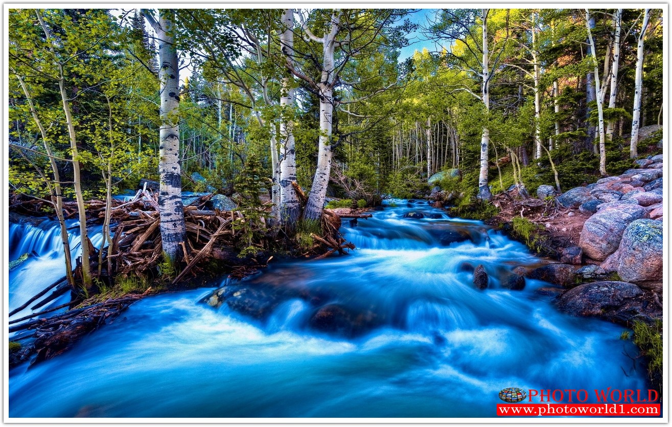 NATURAL วอลเปเปอร์รูปภาพติดผนังสั่งทำ มีภาพให้เลือกกว่า 50,000 ภาพ ออกแบบกราฟฟิค หรือ รูปภาพตามที่ท่านกำหนด ในสไตล์ท่านเอง "custom made"
