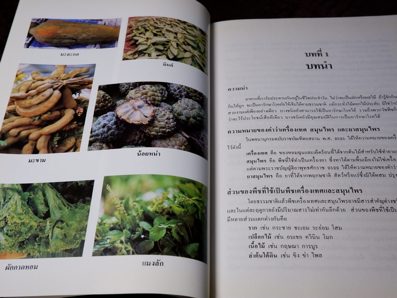 พืชเครื่องเทศ เเละ สมุนไพร โดย รุ่งรัตน์ เหลืองนทีเทพ