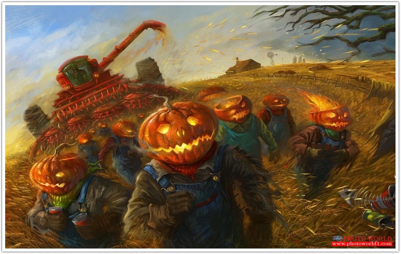 วอลเปเปอร์รูปภาพติดผนังสั่งทำ มีภาพให้เลือกกว่า 50,000 ภาพ ออกแบบกราฟฟิค หรือ รูปภาพตามที่ท่านกำหนด ในสไตล์ท่านเอง "custom made"