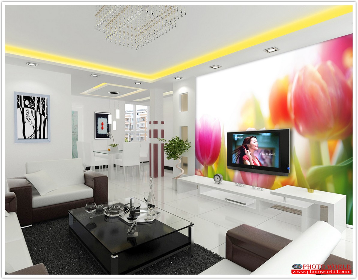 วอลเปเปอร์รูปภาพติดผนังสั่งทำ มีภาพให้เลือกกว่า 50,000 ภาพ ออกแบบกราฟฟิค หรือ รูปภาพตามที่ท่านกำหนด ในสไตล์ท่านเอง "custom made"