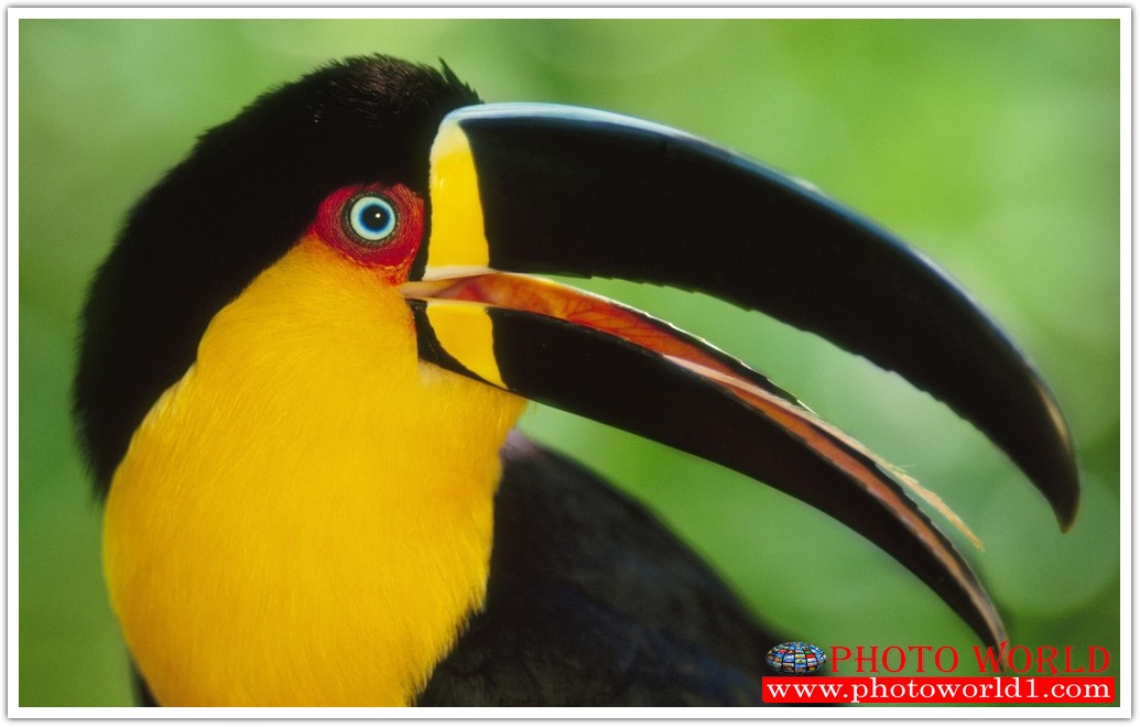 วอลเปเปอร์รูปภาพติดผนังสั่งทำ มีภาพให้เลือกกว่า 50,000 ภาพ ออกแบบกราฟฟิค หรือ รูปภาพตามที่ท่านกำหนด ในสไตล์ท่านเอง "custom made"