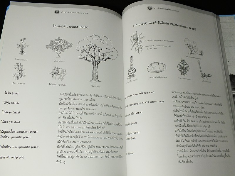 ตำราอ้างอิงยาสมุนไพรไทย โดย คณะอนุกรรมการจัดทำตำราอ้างอิงสมุนไพรไทย ปกแข็ง 3 เล่ม (สอบถาม)