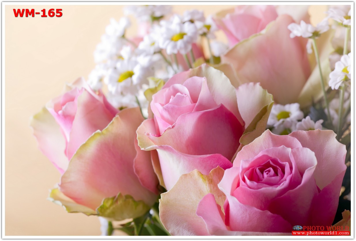 วอลเปเปอร์รูปภาพติดผนังสั่งทำ มีภาพให้เลือกกว่า 50,000 ภาพ ออกแบบกราฟฟิค หรือ รูปภาพตามที่ท่านกำหนด ในสไตล์ท่านเอง "custom made"