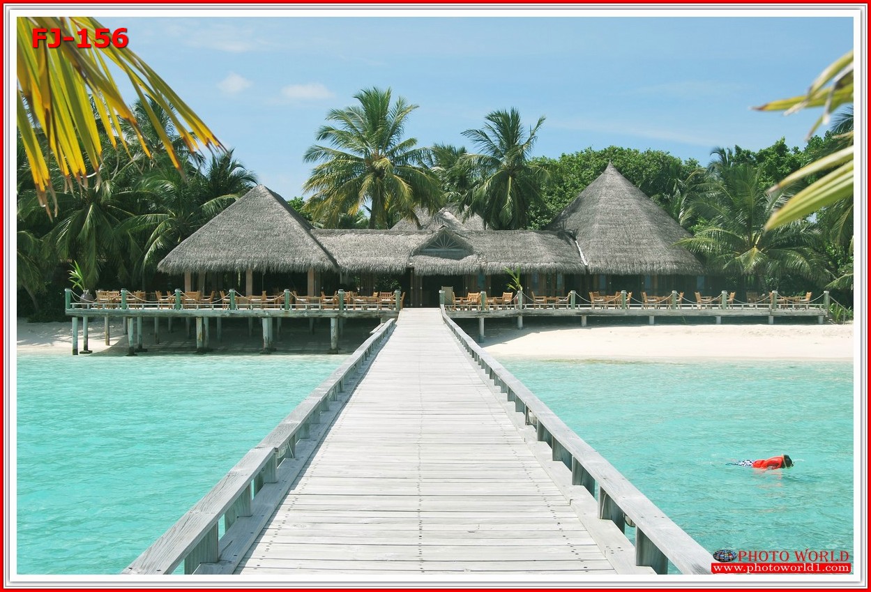 วอลเปเปอร์รูปภาพติดผนังสั่งทำ มีภาพให้เลือกกว่า 50,000 ภาพ ออกแบบกราฟฟิค หรือ รูปภาพตามที่ท่านกำหนด ในสไตล์ท่านเอง "custom made"