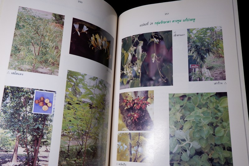 สรรพคุณสมุนไพร 200 ชนิด โดย สุนทรี สิงหบุตรา หนา 260 หน้า ปี 2535