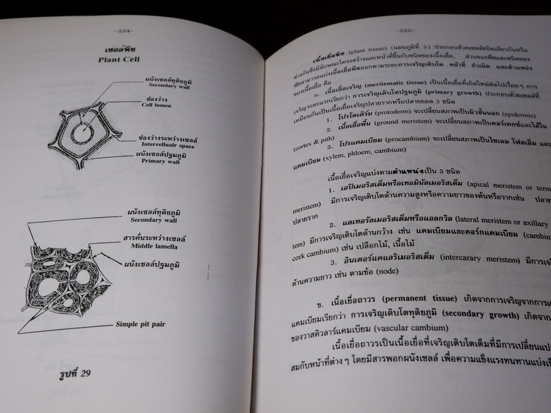 การตรวจเอกลักษณ์พืชสมุนไพร ภาคพิเศษ โดย สถาบันการเเพทย์ไทย เเละ คณะเภสัช ม.เชียงใหม่