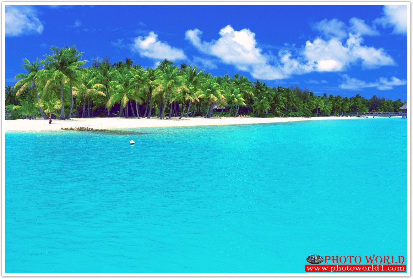 วอลเปเปอร์รูปภาพติดผนังสั่งทำ มีภาพให้เลือกกว่า 50,000 ภาพ ออกแบบกราฟฟิค หรือ รูปภาพตามที่ท่านกำหนด ในสไตล์ท่านเอง "custom made"