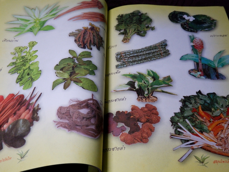 สมุนไพรเพื่อการบำบัดโรค เเก้ว กาญจนา