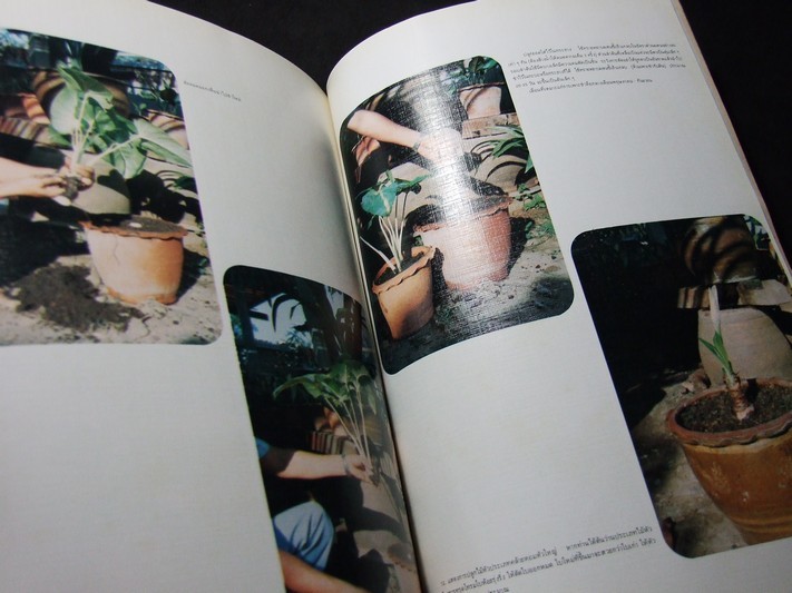 คัมภีร์ว่าน และไม้มงคล โดย สนั่น ทวีสมบัติ ปกแข็ง 212 หน้า พิมพ์ปี 2524