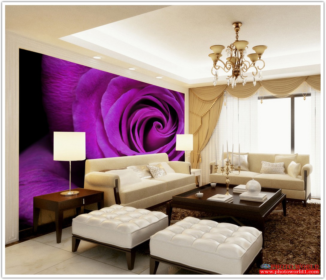 วอลเปเปอร์รูปภาพติดผนังสั่งทำ มีภาพให้เลือกกว่า 50,000 ภาพ ออกแบบกราฟฟิค หรือ รูปภาพตามที่ท่านกำหนด ในสไตล์ท่านเอง "custom made"