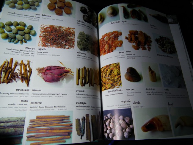 คัมภีร์เภสัชรัตนโกสินทร์ โดย วุฒิ วุฒิธรรมเวช ปกแข็ง พิมพ์ 1000 เล่ม ปี 2547