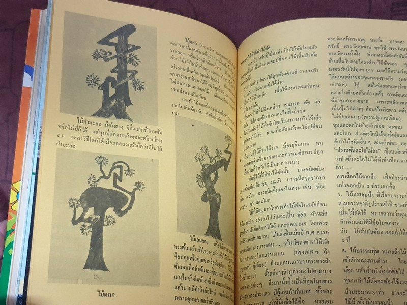 บอนไซ 01 02 03 รวม 3 เล่ม โดยชมรมบอนไซ(ไม้เเคระ) เเห่งประเทศไทย //สอบถาม//