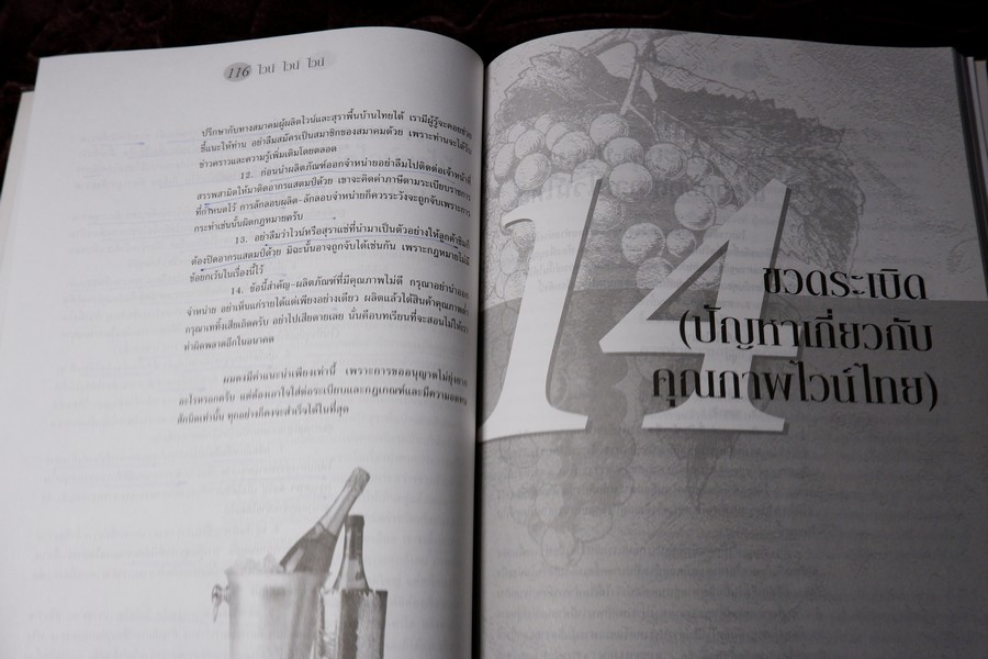 ไวน์ ไวน์ ไวน์ หนังสือสำหรับผู้ผลิตไวน์มือใหม่ โดย ชัยรัตน์ โมไนยพงศ์ (มีตำหนิ)