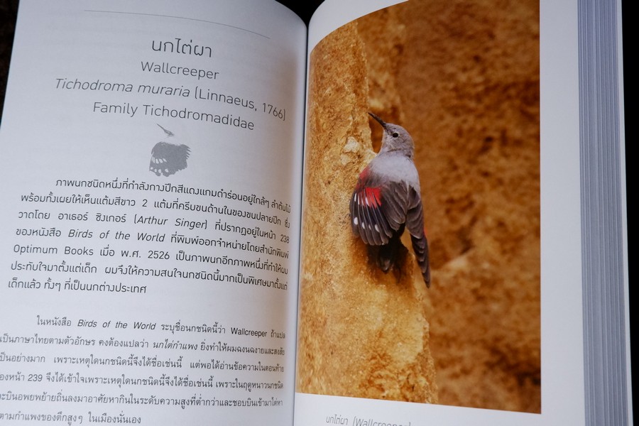 นกไทย ในบันทึกเเละความทรงจำ โดย สุธี ศุภรัฐวิกร พิมพ์ 1000 เล่ม ปี 2558 (มีตำหนิ)