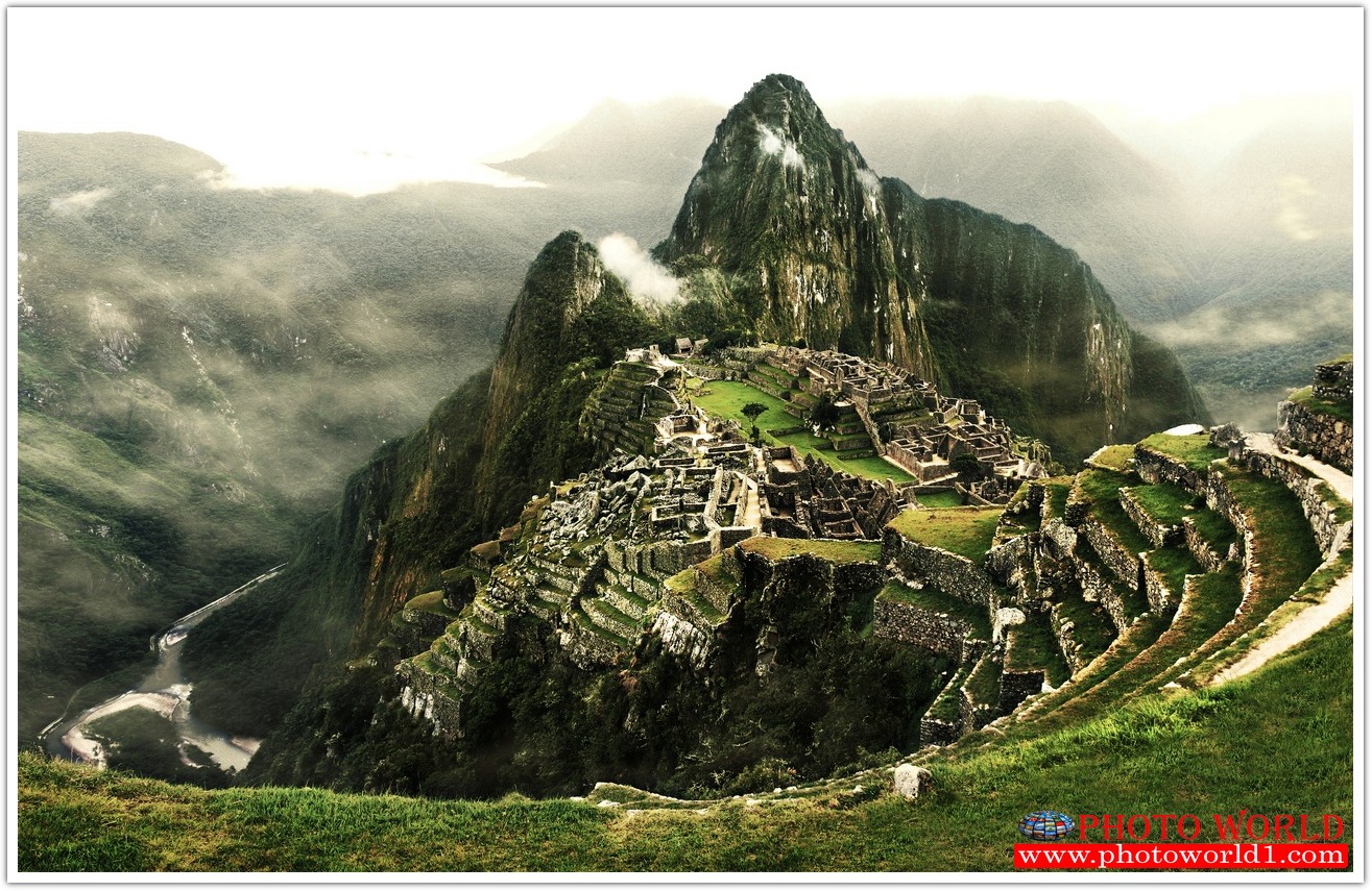 NATURAL วอลเปเปอร์รูปภาพติดผนังสั่งทำ มีภาพให้เลือกกว่า 50,000 ภาพ ออกแบบกราฟฟิค หรือ รูปภาพตามที่ท่านกำหนด ในสไตล์ท่านเอง "custom made"