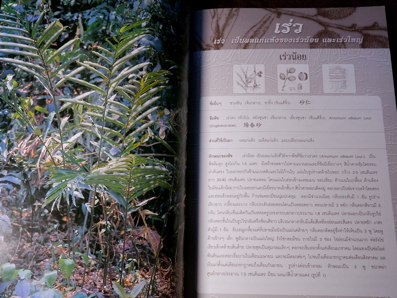 สมุนไพรไทย-จีน โดย กรมวิทยาศาสตร์การเเพทย์ กระทรวงสาธารณสุข