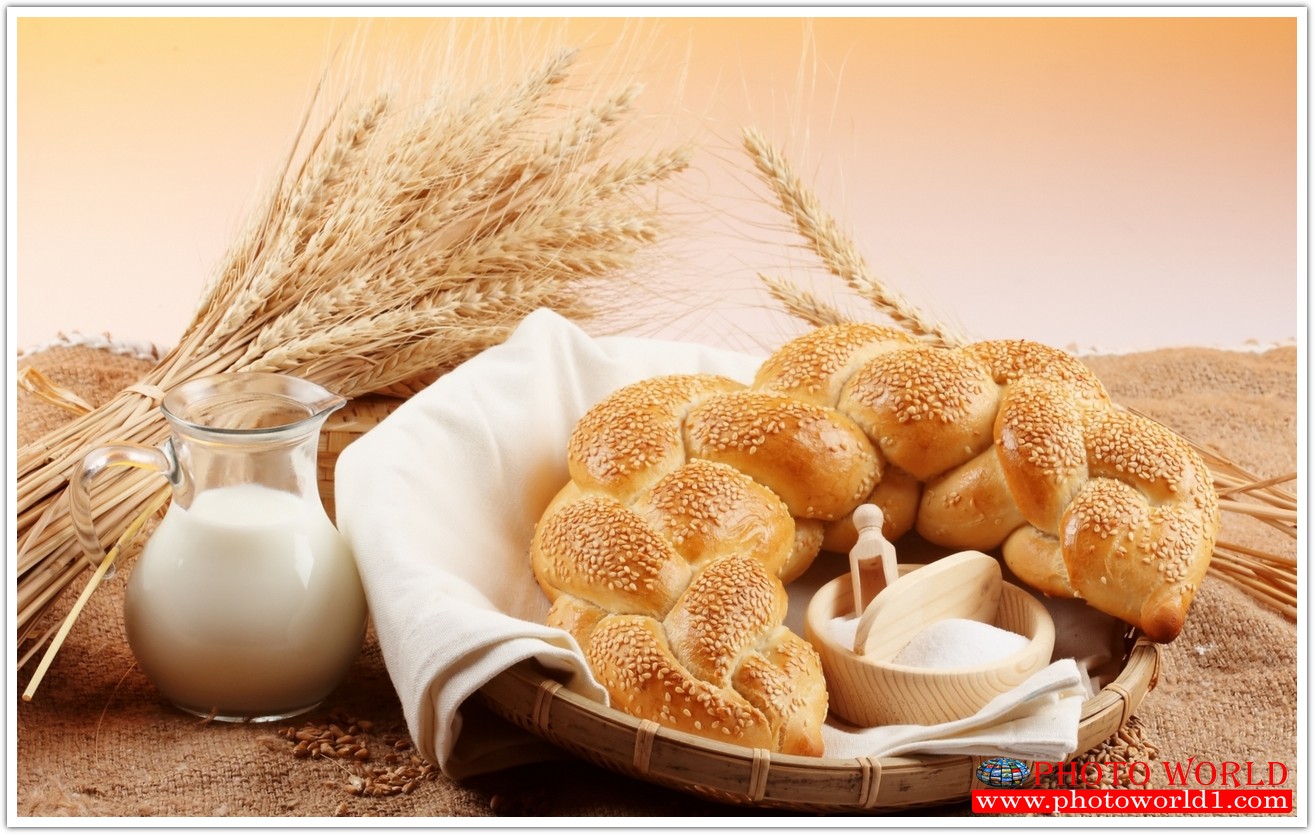 วอลเปเปอร์รูปภาพติดผนังสั่งทำ มีภาพให้เลือกกว่า 50,000 ภาพ ออกแบบกราฟฟิค หรือ รูปภาพตามที่ท่านกำหนด ในสไตล์ท่านเอง "custom made"