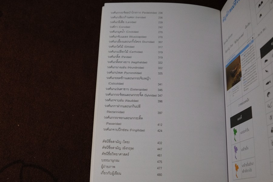 Thailand Bird Guide โดย ร่งโรจน์ จุกมงคล ปี 2549