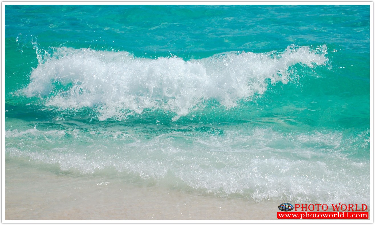 วอลเปเปอร์รูปภาพติดผนังสั่งทำ มีภาพให้เลือกกว่า 50,000 ภาพ ออกแบบกราฟฟิค หรือ รูปภาพตามที่ท่านกำหนด ในสไตล์ท่านเอง "custom made"