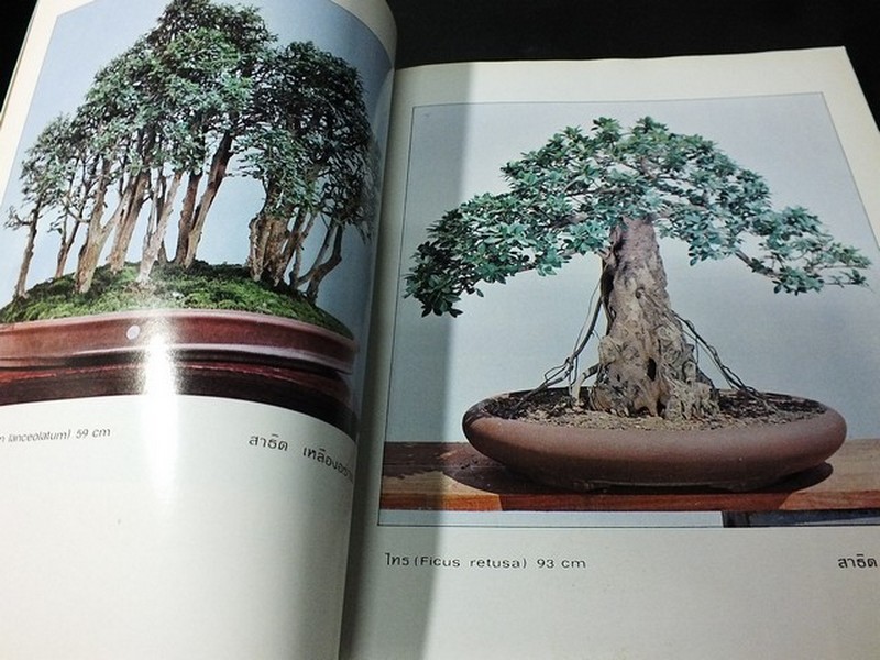 บอนไซ 01 02 03 รวม 3 เล่ม โดยชมรมบอนไซ(ไม้เเคระ) เเห่งประเทศไทย //สอบถาม//