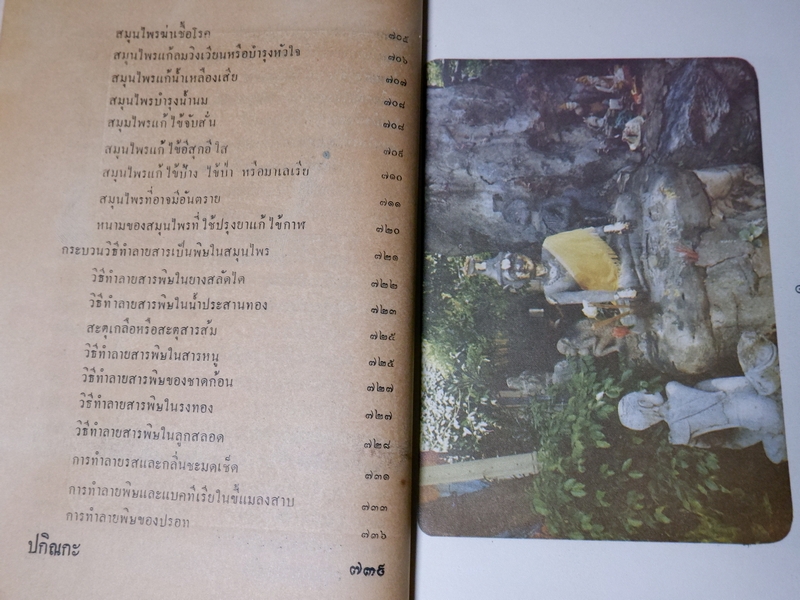 หลักการใช้ยาสมุนไพรรักษาโรคต่างๆ โดย พ.ต.อ.ชลอ อุทกภาชน์ ปี 2528 (พรีออเดอร์-สอบถาม)