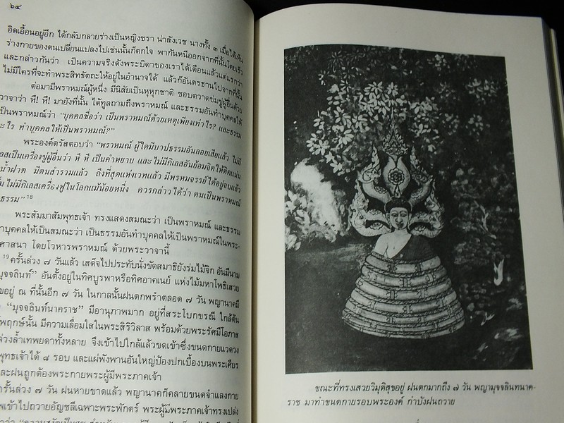 พุทธประวัติทัศนศึกษา นิพนธ์ของ พระธรรมโกศาจารย์ (ชอบ อนุจารี) หนา 250 หน้า ปี 2532