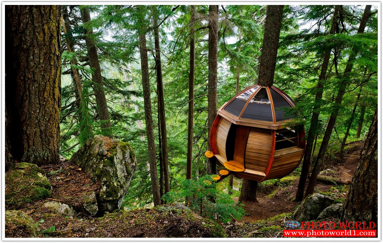 NATURAL วอลเปเปอร์รูปภาพติดผนังสั่งทำ มีภาพให้เลือกกว่า 50,000 ภาพ ออกแบบกราฟฟิค หรือ รูปภาพตามที่ท่านกำหนด ในสไตล์ท่านเอง "custom made"