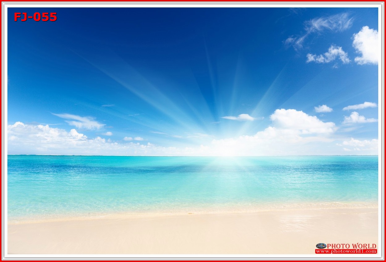 วอลเปเปอร์รูปภาพติดผนังสั่งทำ มีภาพให้เลือกกว่า 50,000 ภาพ ออกแบบกราฟฟิค หรือ รูปภาพตามที่ท่านกำหนด ในสไตล์ท่านเอง "custom made"