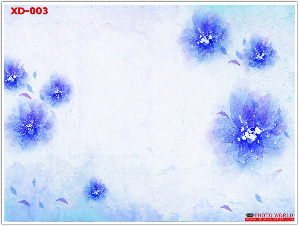 วอลเปเปอร์รูปภาพติดผนังสั่งทำ มีภาพให้เลือกกว่า 50,000 ภาพ ออกแบบกราฟฟิค หรือ รูปภาพตามที่ท่านกำหนด ในสไตล์ท่านเอง "custom made"