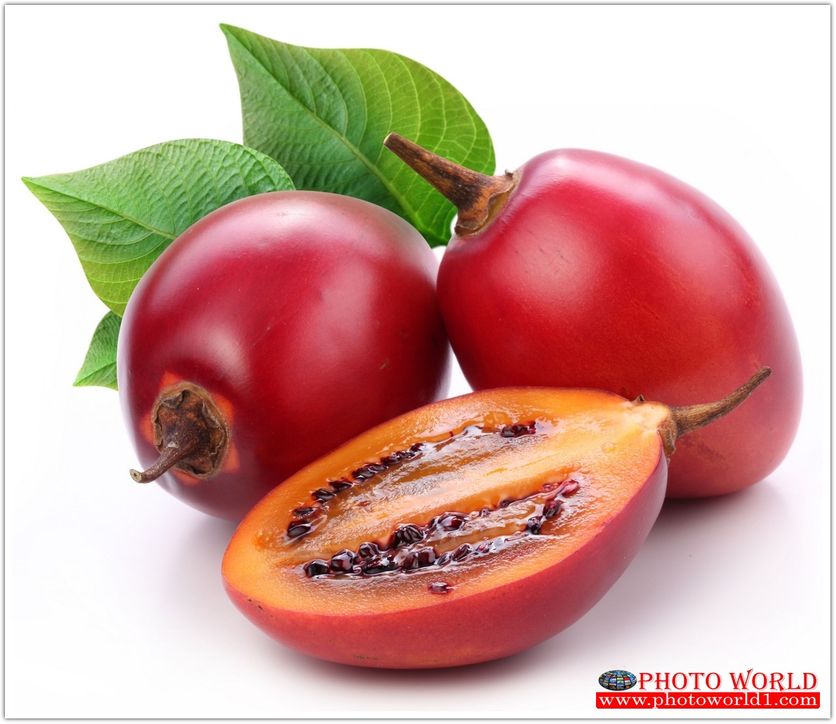 วอลเปเปอร์รูปภาพติดผนังสั่งทำ มีภาพให้เลือกกว่า 50,000 ภาพ ออกแบบกราฟฟิค หรือ รูปภาพตามที่ท่านกำหนด ในสไตล์ท่านเอง "custom made"