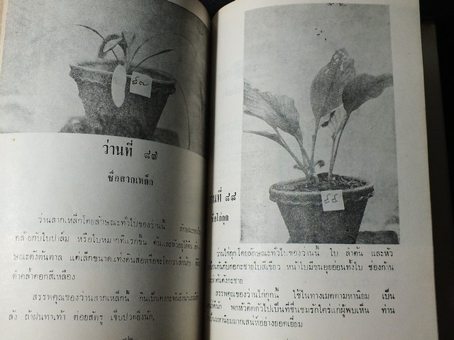 กบิลว่าน 108 โดย สมาน คัมภีร์ เเละ ทัศนา ทัศนมิตร ปกแข็ง 122 หน้า ปี 2516