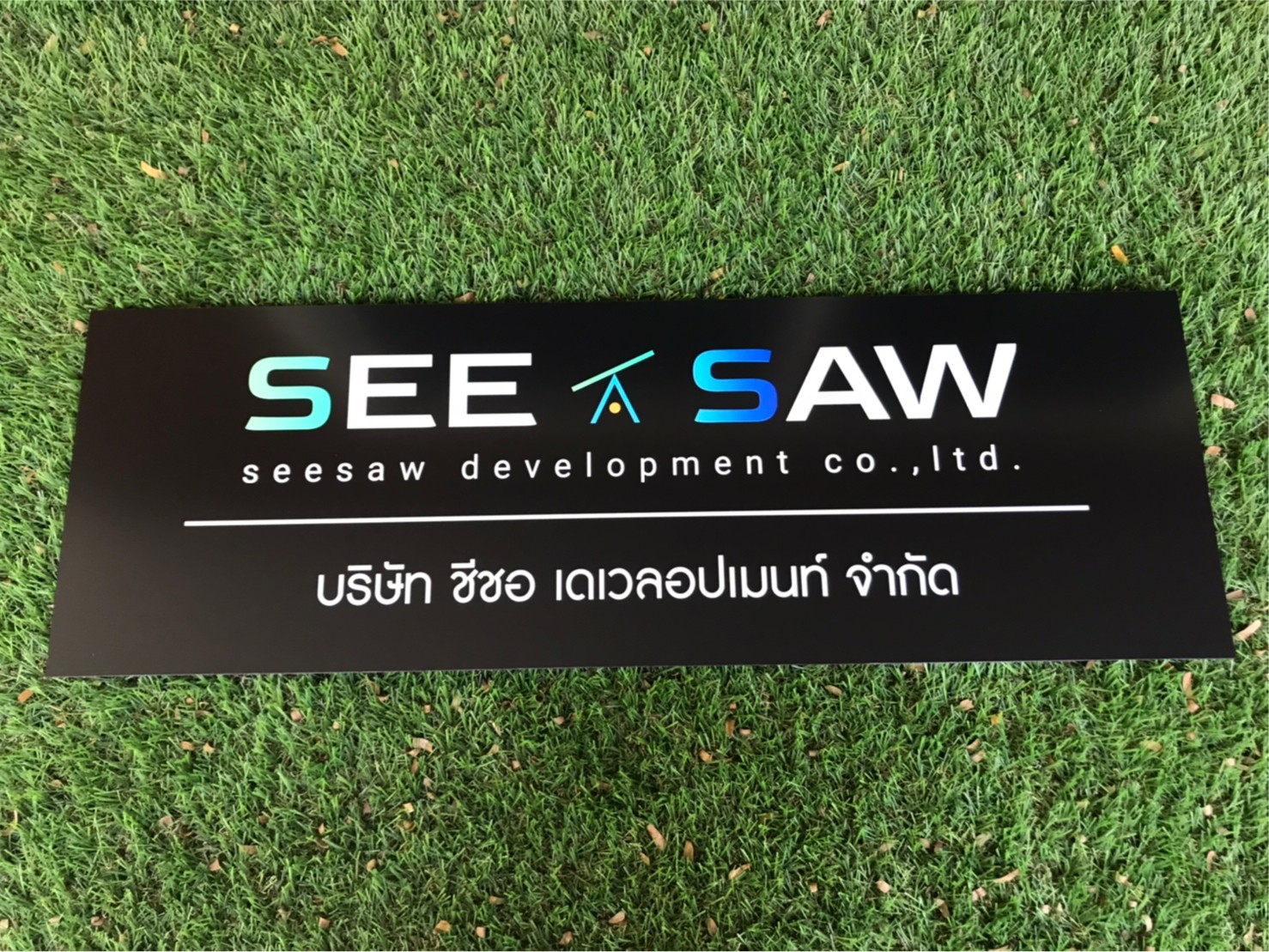 ป้ายสกีน