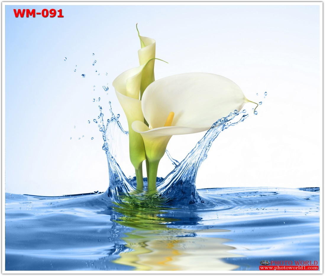 วอลเปเปอร์รูปภาพติดผนังสั่งทำ มีภาพให้เลือกกว่า 50,000 ภาพ ออกแบบกราฟฟิค หรือ รูปภาพตามที่ท่านกำหนด ในสไตล์ท่านเอง "custom made"