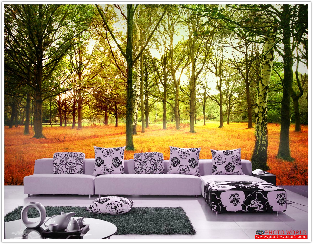 วอลเปเปอร์รูปภาพติดผนังสั่งทำ มีภาพให้เลือกกว่า 50,000 ภาพ ออกแบบกราฟฟิค หรือ รูปภาพตามที่ท่านกำหนด ในสไตล์ท่านเอง "custom made"