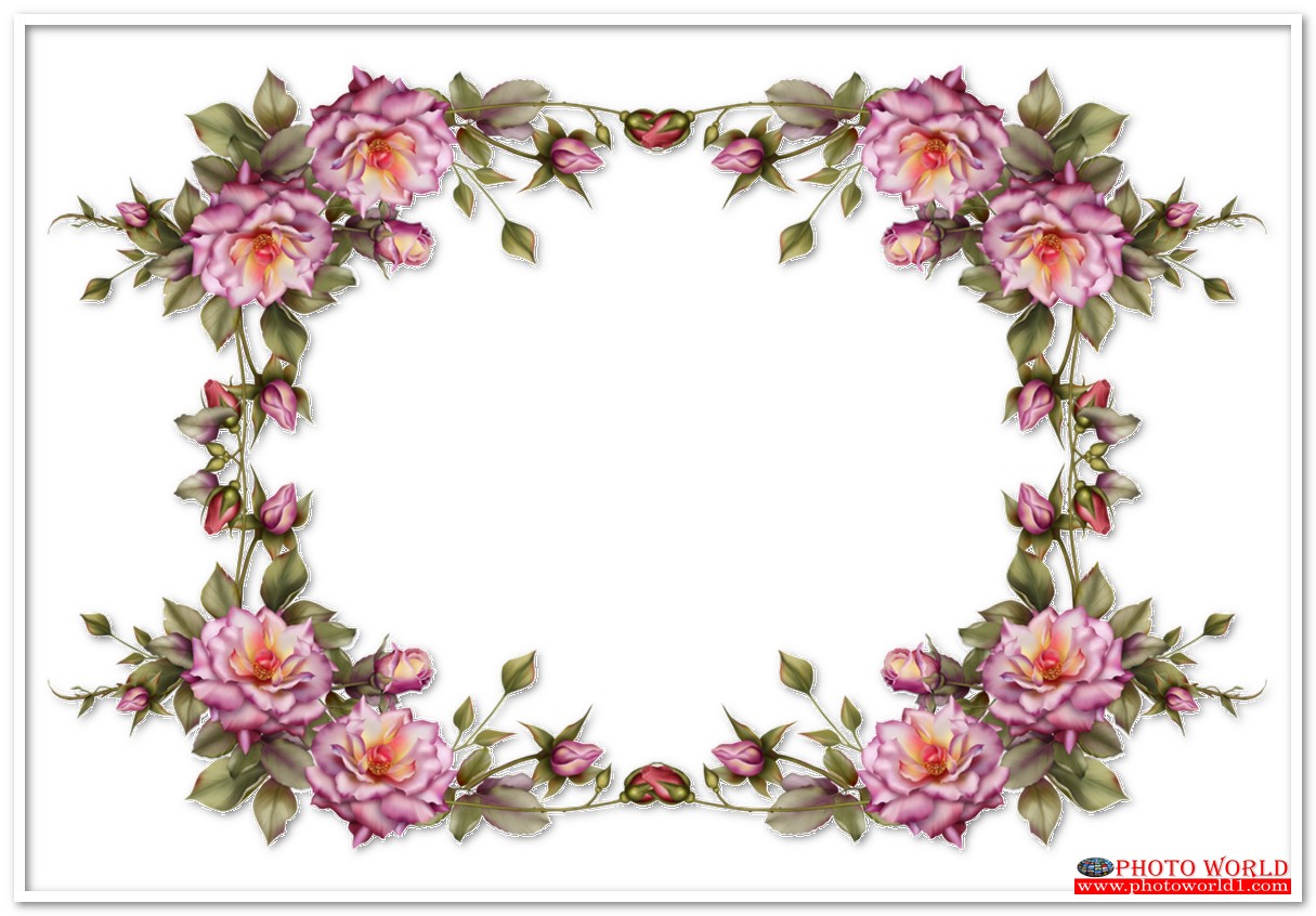 กรอบดอกไม้(FLOWER) สั่งทำวอลเปเปอร์ รูปภาพติดผนัง มีภาพให้เลือกกว่า 50,000 ภาพ ออกแบบกราฟฟิค หรือ รูปภาพตามที่ท่านกำหนด ในสไตล์ท่านเอง "custom made"