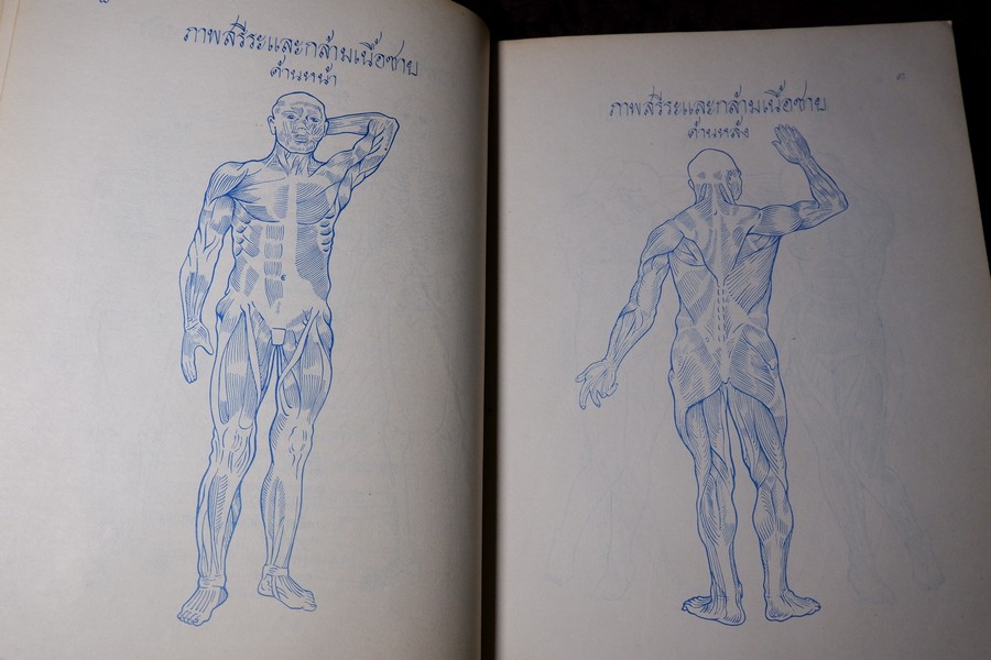 ตำราหมอนวด พระบรมครูเเพทย์ ชีวกโกมารภัจจ์ ฉบับสมบูรณ์ โดย หมอนคร บางยี่ขัน -อ.เชาว์ กสิพันธุ์